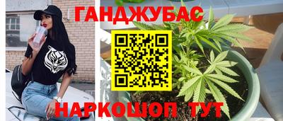 прущие крисы Гусев