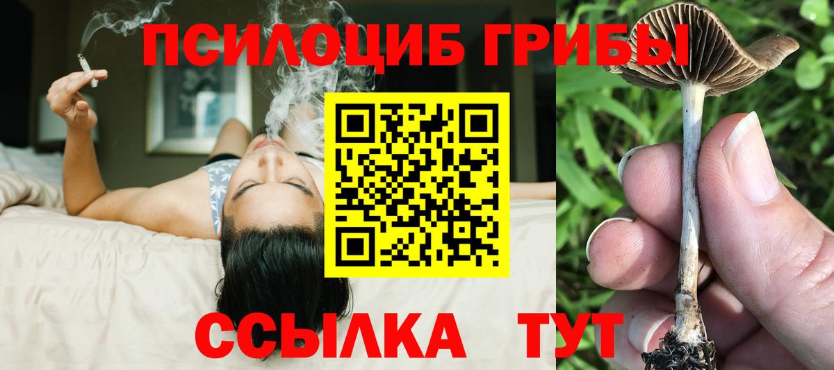 Псилоцибиновые грибы GOLDEN TEACHER Нефтеюганск